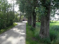 /album/fotogallerij/oprit-beswerd-jpg1/